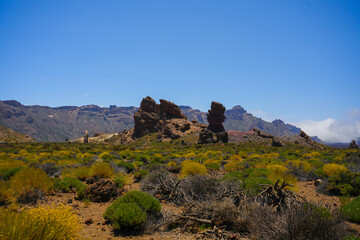 Fototapeta na wymiar Beautiful rocky desert landscape on Teide park on Tenerife island on the sunny day.