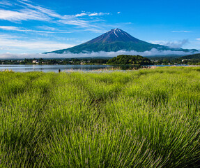 河口湖から富士山とラベンダー