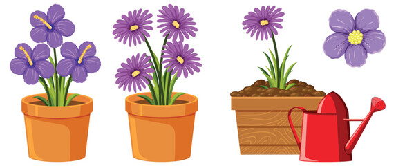 Purple flower in pot on white background