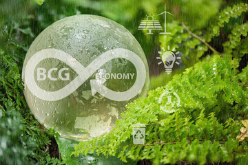 BCG economic model or economic model for sustainable development and icons on nature background.