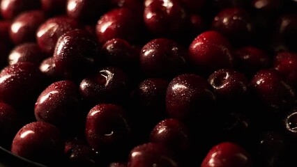 Red ripe cherries covered with water droplets, spinning on a black background. Wet sweet cherries rotate on a black plane
