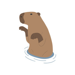 capybara single 19 cute on a white background, vector illustration. 