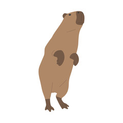 capybara single 20 cute on a white background, vector illustration. 