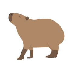 capybara single 16 cute on a white background, vector illustration. 