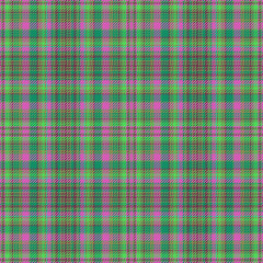 Background check texture of tartan fabric textile with a pattern seamless plaid vector.