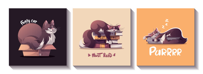 Set of cards with cats lying in the box, books and sleeping on the cat bed. Pet, kitty, domestic life, animal concept. Vector illustration for card, postcard, cover.