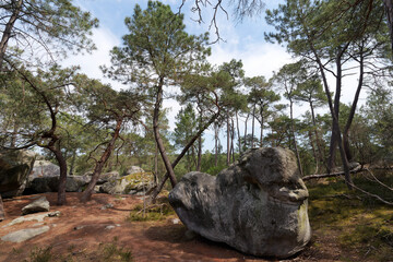 Fototapete bei efototapeten.de bestellen   