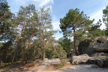 Fototapete bei efototapeten.de bestellen   