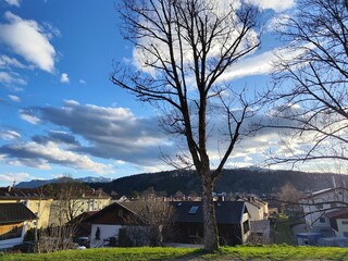 Beautiful Nature
