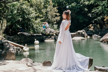 a beautiful woman in a long white dress looks into the distance at a beautiful lake with swans rear view