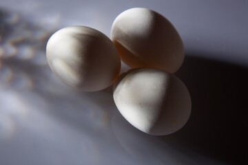 fresh eggs on white background