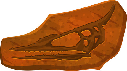 Flying dinosaur skull fossil imprint in stone. Prehistoric animal skeleton section archaeological find, pterosaur dinosaur body piece stone imprint or extinct lizard head science museum vector fossil © Vector Tradition