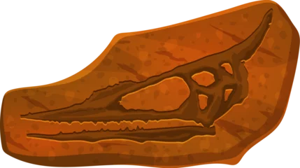 Fotobehang Flying dinosaur skull fossil imprint in stone. Prehistoric animal skeleton section archaeological find, pterosaur dinosaur body piece stone imprint or extinct lizard head science museum vector fossil © Vector Tradition