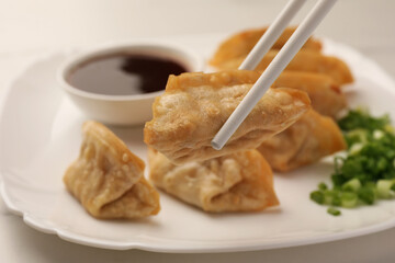 Taking delicious gyoza (asian dumpling) from plate at table, closeup