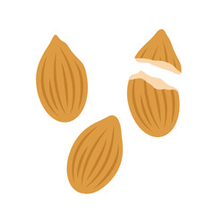 almonds illustration