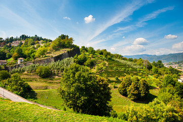 Walls surrounding the city of Bergamo - 613117939