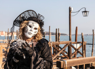 Fototapeta na wymiar Disguised Person, Venice Carnival