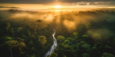Fototapeta na wymiar AI Generated. AI Generative. Beautiful green amazon forest landscape at sunset sunrise. Adventure explore air dron view vibe. Graphic Art