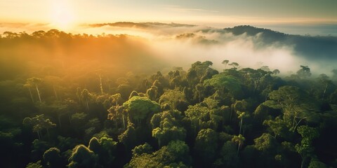 AI Generated. AI Generative. Beautiful green amazon forest landscape at sunset sunrise. Adventure explore air dron view vibe. Graphic Art - obrazy, fototapety, plakaty