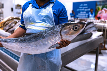 Dubai, Deira waterfront fish market April 2023: Retailers offer fresh fish at their stalls in the...