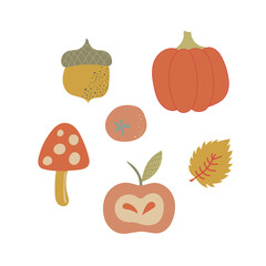 Autumn elements. Leaves, acorns, twigs, nuts, fruits autumn. Vector illustration
