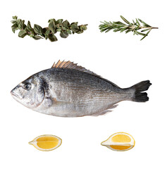 Set of fish dorado, lemon, rosemary, thyme and herbs isolated on white background with clipping path. Full Depth of field. Focus stacking. PNG
