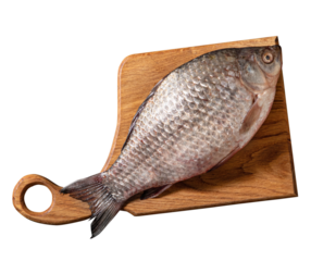 Freshwater crucian carp fish isolated on white background with clipping path. Full Depth of field. Focus stacking. PNG