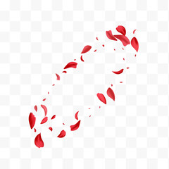 Pink Cherry Japanese Vector Transparent