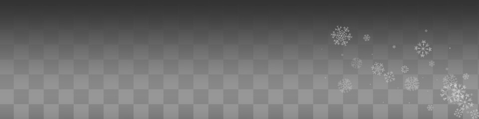 White Snowflake Vector Transparent Panoramic