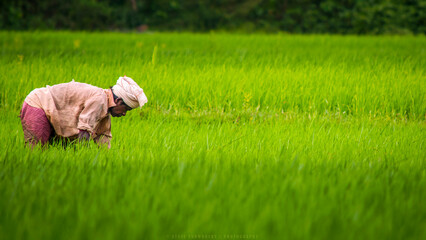 A farmer farming in field © Prince