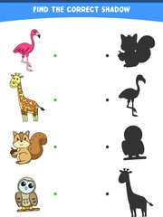 vector illustration finding the correct shadow wild animals flamingo giraffe squirrel owl printable