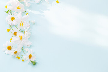 spring background with flowers