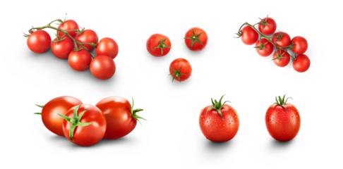 A collection of fresh juicy red ripe tomatoes on and off the vine isolated against a transparent background