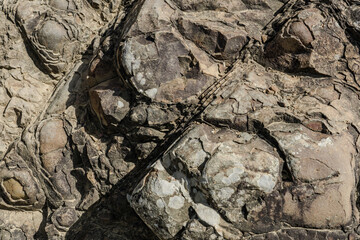 Weathered Rocks at Lanikai Pillbox Hike，Honolulu, Oahu, Hawaii geology