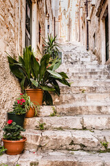 Fototapeta na wymiar Flower Pots On Steps In Dubrovnik's Old Town In Croatia