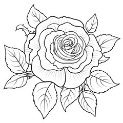 Rose, crisp lines, black and white, outline art, coloring book