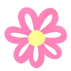 pink flower on white background