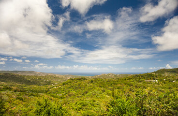 Fototapeta na wymiar Landscape in Barbados with Caribbean Sea, Palm Tree and Blue Sky