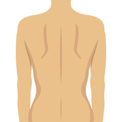 Fototapeta premium Back Body