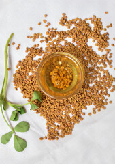 Fenugreek leaves with seeds and oil over white background.