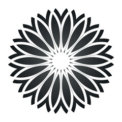 Modern ornaments illustration on white background