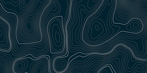 Abstract colorful blue topographic wavy curve line background. Topography map pattern, Geographic blue curved relief. Topographic lines background. Vector illustration. - obrazy, fototapety, plakaty
