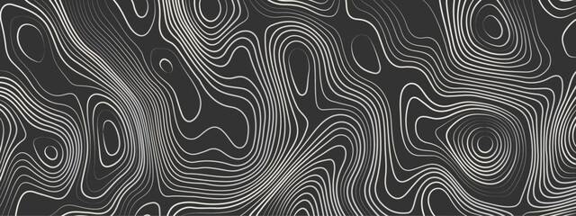 Fototapeta premium Black and white wavy paper curve relief abstract topographic map background. Geographic mountain relief. Topographic map lines, contour background. Abstract wave lines background.