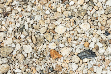 Top view of the pebbles stone on the floor. beautiful small stone and big stone on the beach background texture.