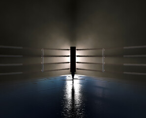 Boxing Ring Spotlight Corner