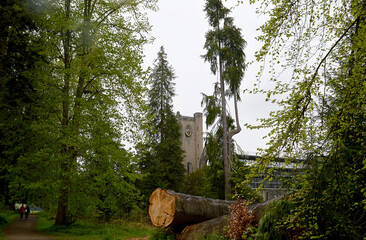Fototapeta na wymiar Trees in the grounds beside Dunkeld Cathedral. Perthshire, Scotland