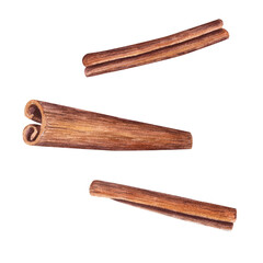 Dried Cinnamon Sticks isolated on transparent background. Nature raw organic spice from tree bark. Watercolor illustration of hand drawn cinnamon using in medicine, food and aromatherapy.