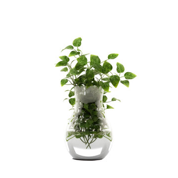 Green Plant in Vase Isolated on Transparent Background for Home Décor Generative AI