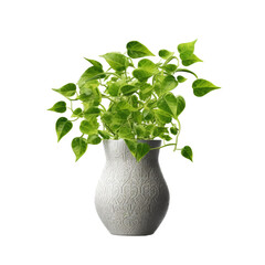 Green Plant in Vase Isolated on Transparent Background for Home Décor Generative AI