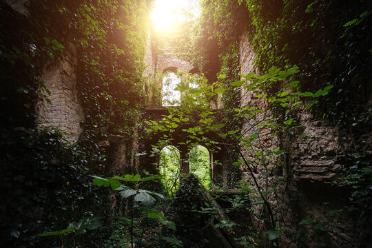 Old ruins of historical building overgrown by vegetation green post-apocalyptic concept - Powered by Adobe